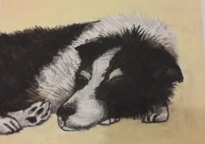 Praca przedstawia psa kundelka, na obrazie widać pysk i przednie łapy, pies jest czarno biały, kudłaty, śpi. Obraz jest wykonany pastelami.